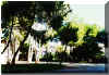 Colegio Arquitectos foto 5.jpg (136607 bytes)